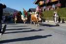 Almabtrieb Westendorf 18.09.2010