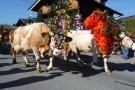 Almabtrieb Westendorf 18.09.2010