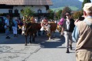 Almabtrieb Westendorf 18.09.2010