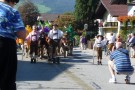 Almabtrieb Westendorf 18.09.2010