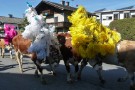 Almabtrieb Westendorf 18.09.2010