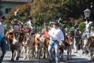 Almabtrieb Westendorf 18.09.2010