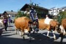 Almabtrieb Westendorf 18.09.2010