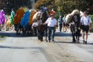 Almabtrieb Westendorf 18.09.2010