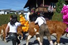 Almabtrieb Westendorf 18.09.2010